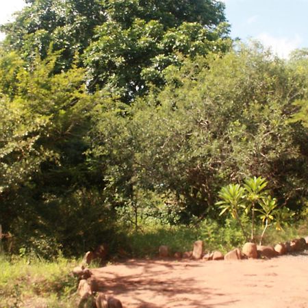 Copacopa Lodge And Conference Centre Punda Maria Bagian luar foto
